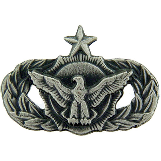 U.S. Air Force Senior Force Protection Pin Pewter 7/8"