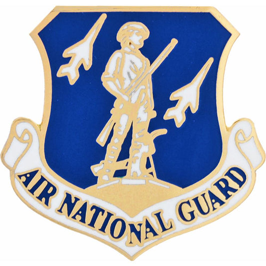 U.S. Air National Guard Pin 1"