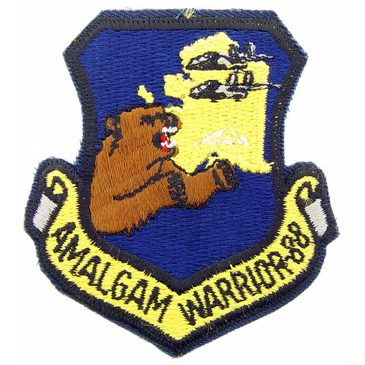 U.S. Air Force Amalgam Warrior 88 Patch